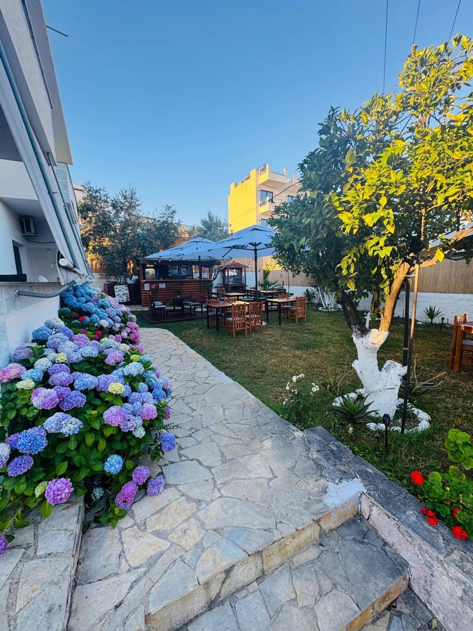 Garden, Garden view