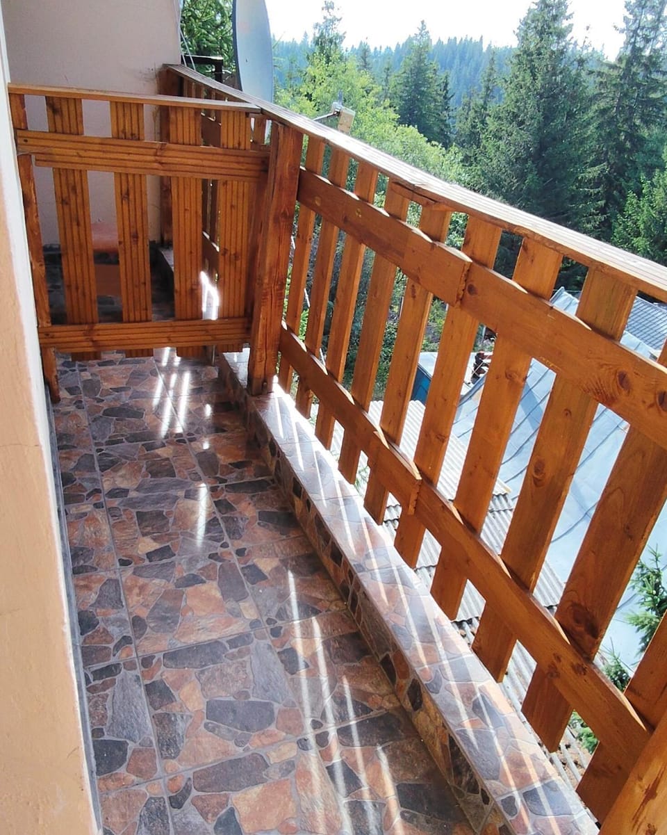 Pensiunea Patru Brazi Bed and Breakfast in Cluj County