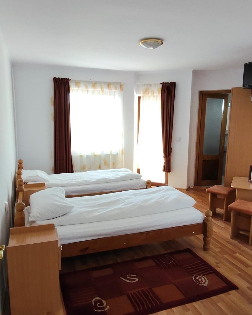 Pensiunea Patru Brazi Bed and Breakfast in Cluj County