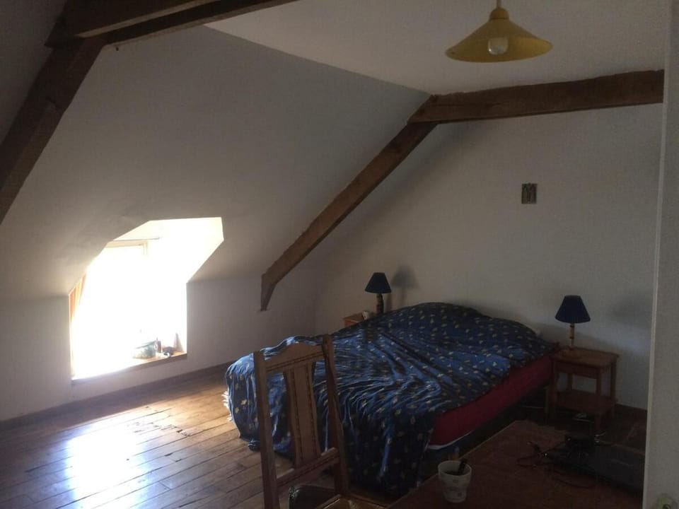 Surzur Character House House in Brittany