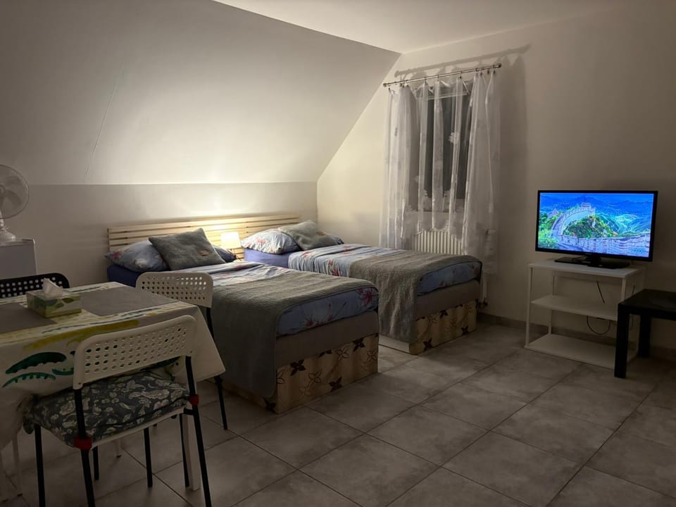 Communal lounge/ TV room, Bed, TV and multimedia, Bedroom