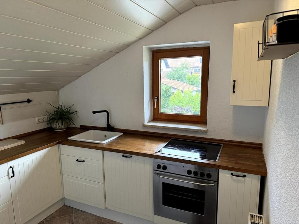 Kitchen or kitchenette, dishwasher, stove