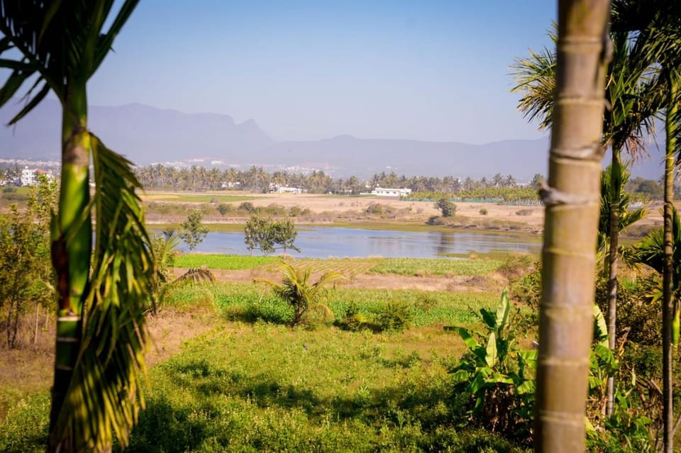 Lake view