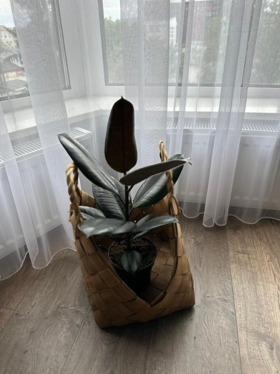 Nature Центр Apartment in Ukraine