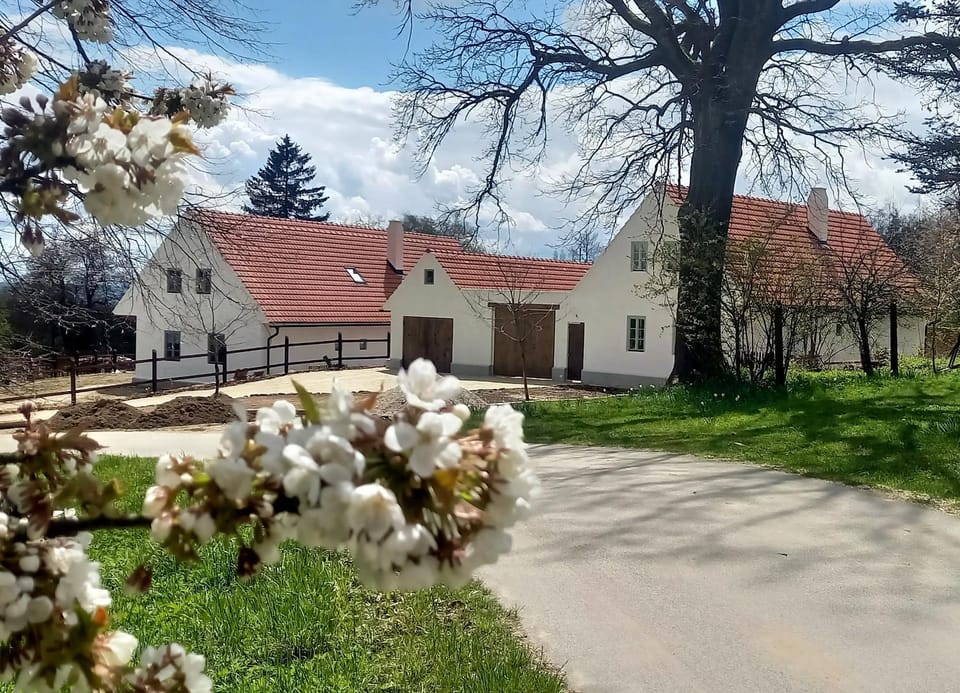 Property building, Spring