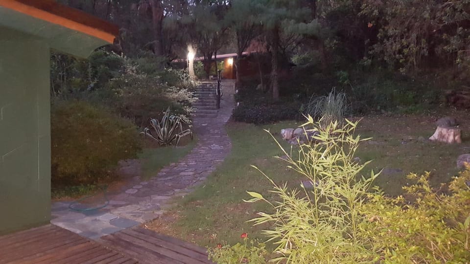 Garden, Sunset