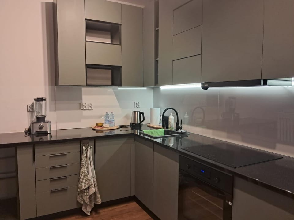 Peaceful oasis in the city centre Apartment in Poland