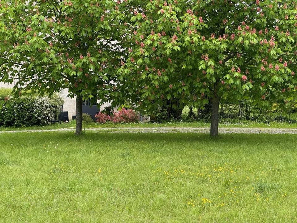 Garden, Garden view