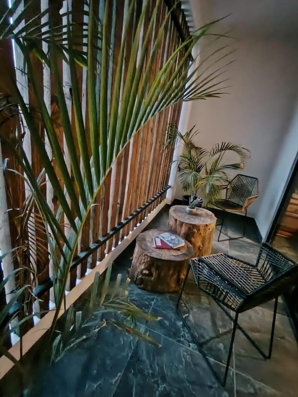 House near the best restaurants and garden events House in Jiutepec