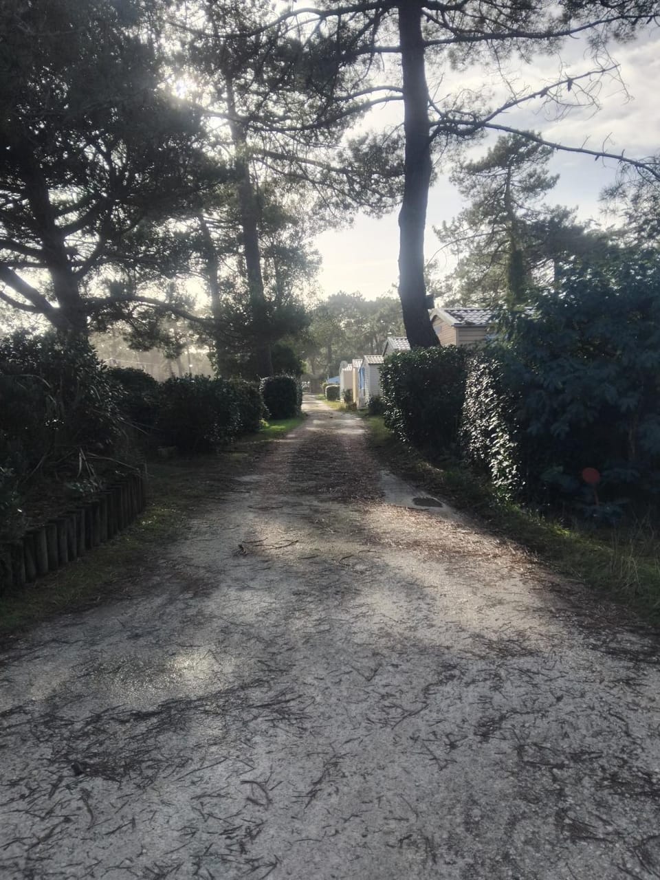 Neighbourhood