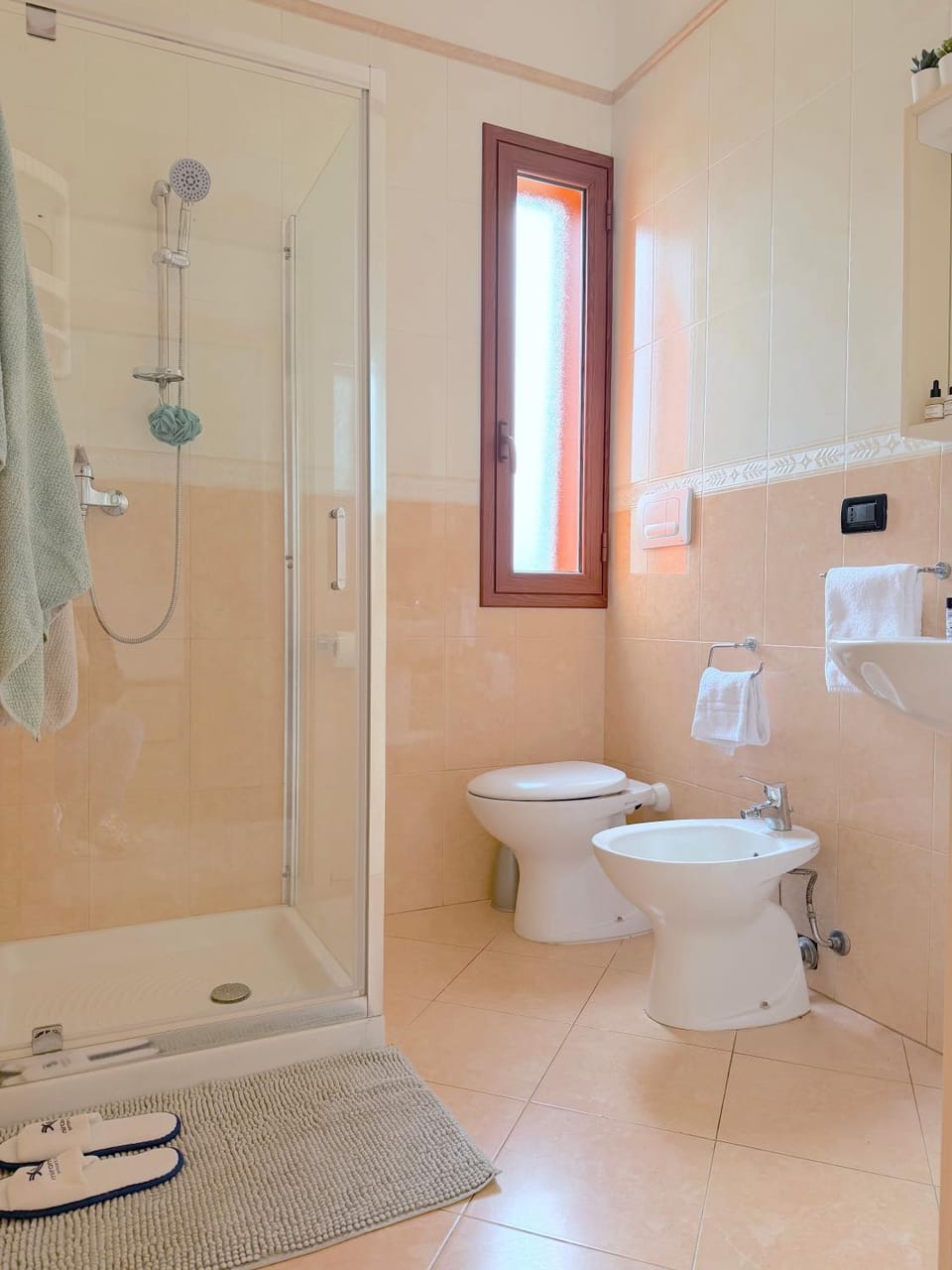 Shower, Toilet, Bathroom, bidet