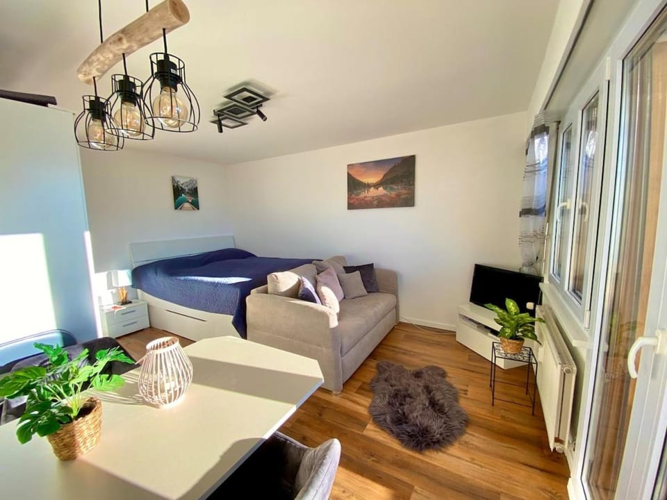 Ferienstudio mit herrlicher Berg- und Talsicht Apartment in Crans-Montana