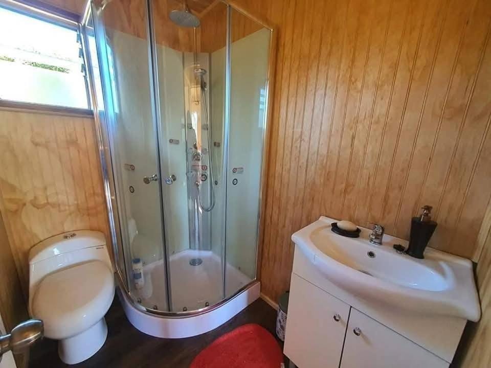 Cabañas Río Contao House in Los Lagos, Chile