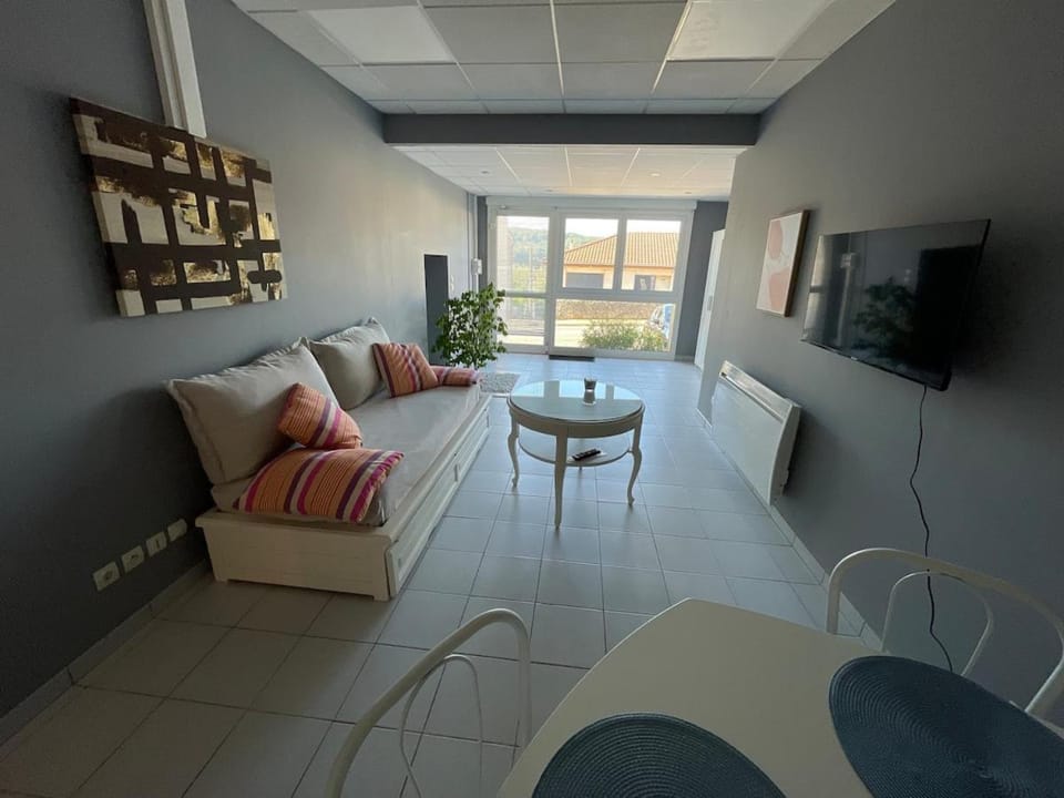 Nice 2-room appartement joli T2 avec parking privatif with private parking and air conditioning Apartment in Grand Est
