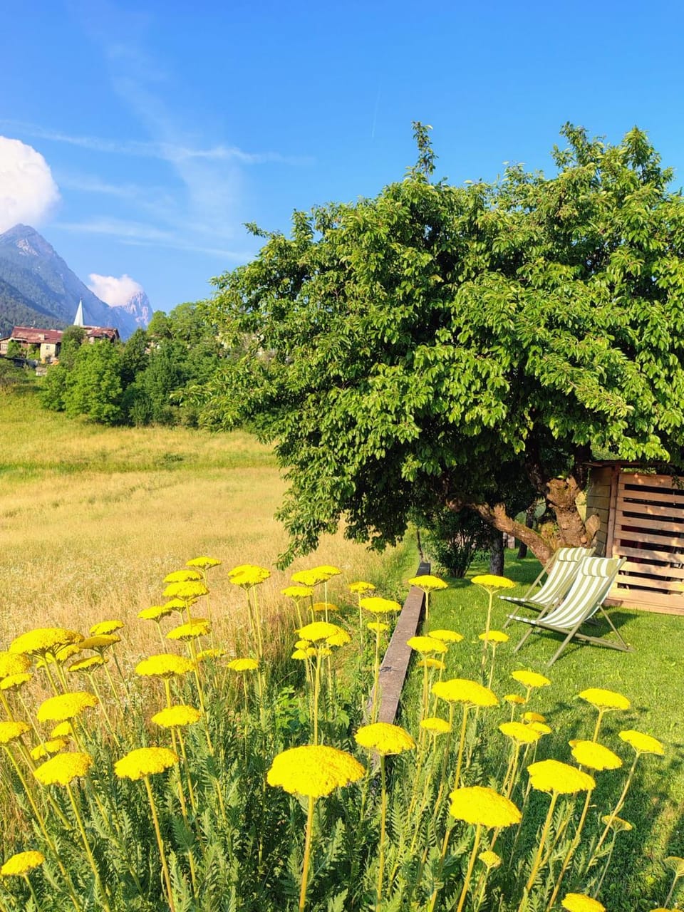 Tra prati e monti - Dolomiti Bellunesi Apartment in Friuli-Venezia Giulia
