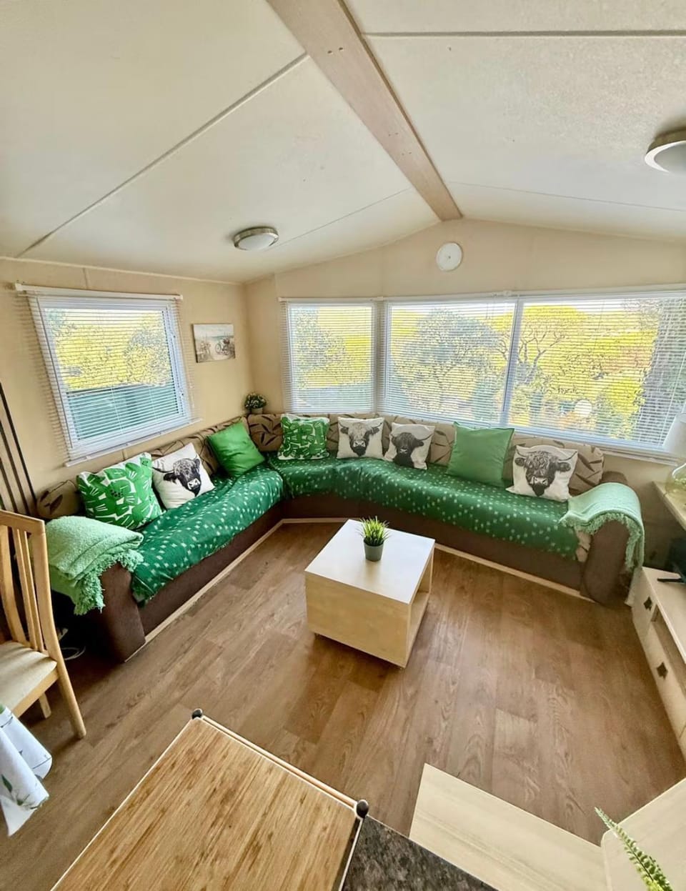 Photo of the whole room