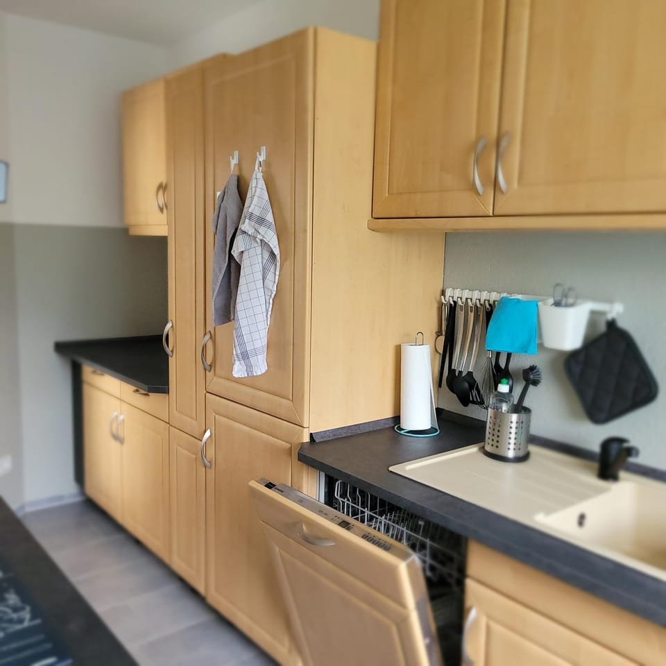 Kitchen or kitchenette, stove, kitchen