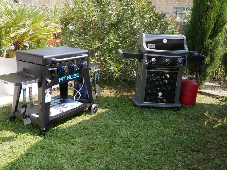 Day, BBQ facilities, Garden