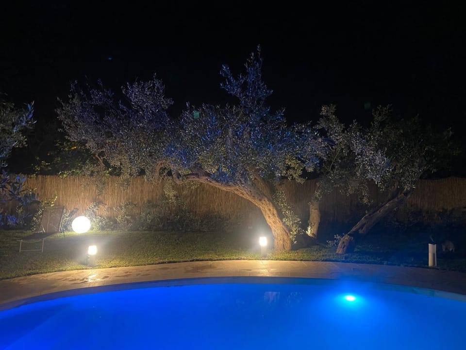 Night, Natural landscape, Garden view, Swimming pool