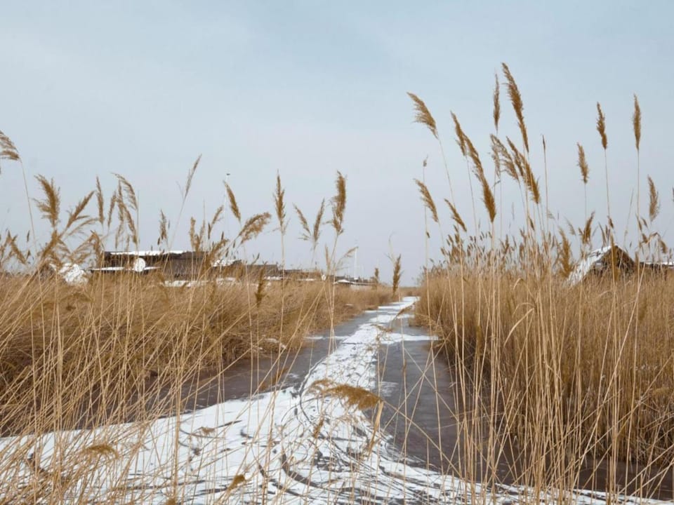 Winter, Area and facilities