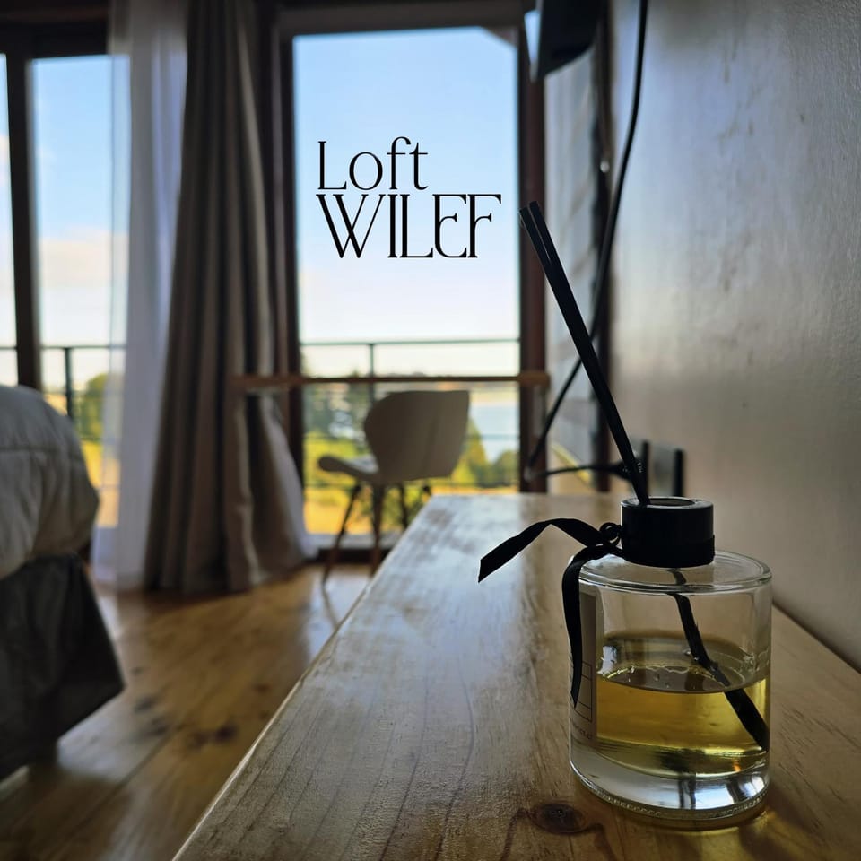 Loft Wilef Apartment in Los Lagos, Chile