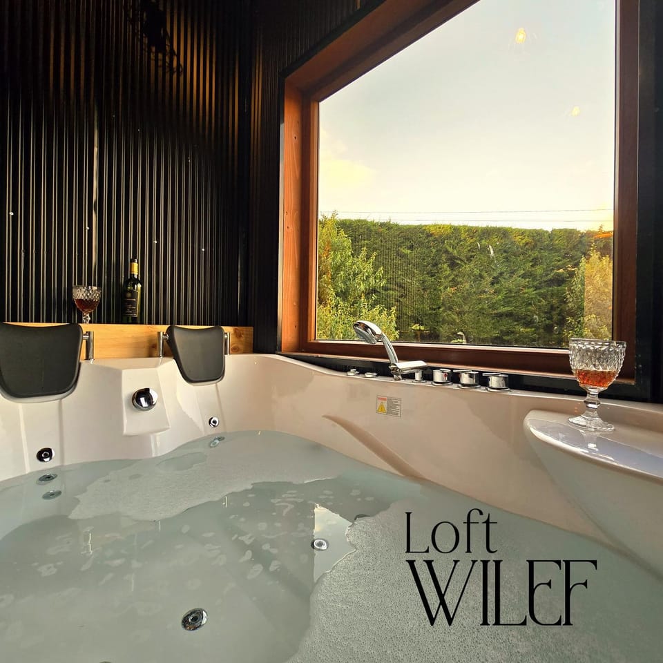 Loft Wilef Apartment in Los Lagos, Chile