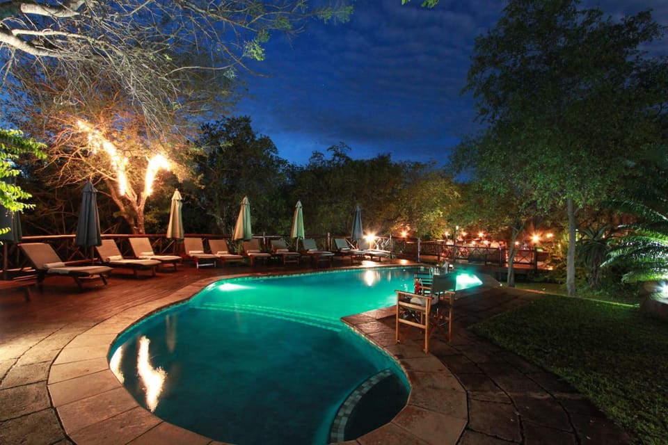 Night, On site, Pool view, Swimming pool, Swimming pool
