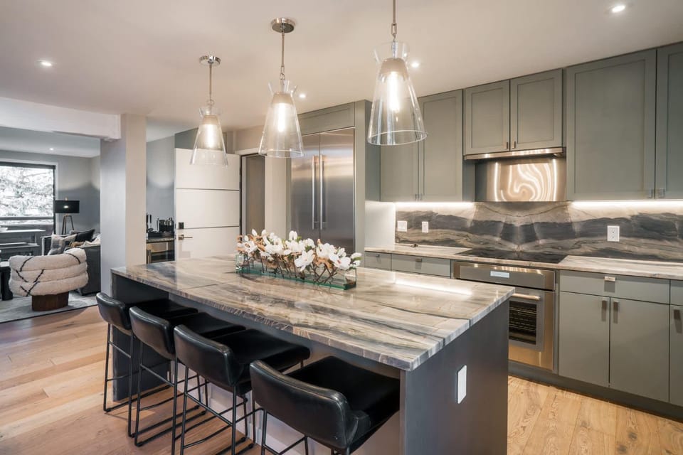 Renovated Riverfront 3 BR Walk to Gondola House in Aspen