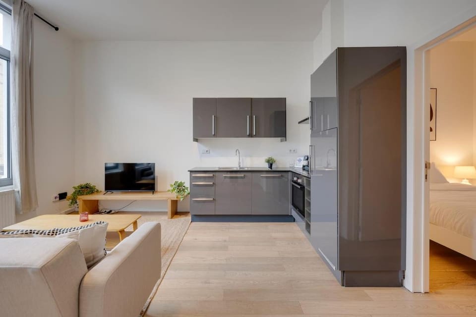 Bright and Elegant Apartment in Downtown Antwerp Apartment in Antwerp
