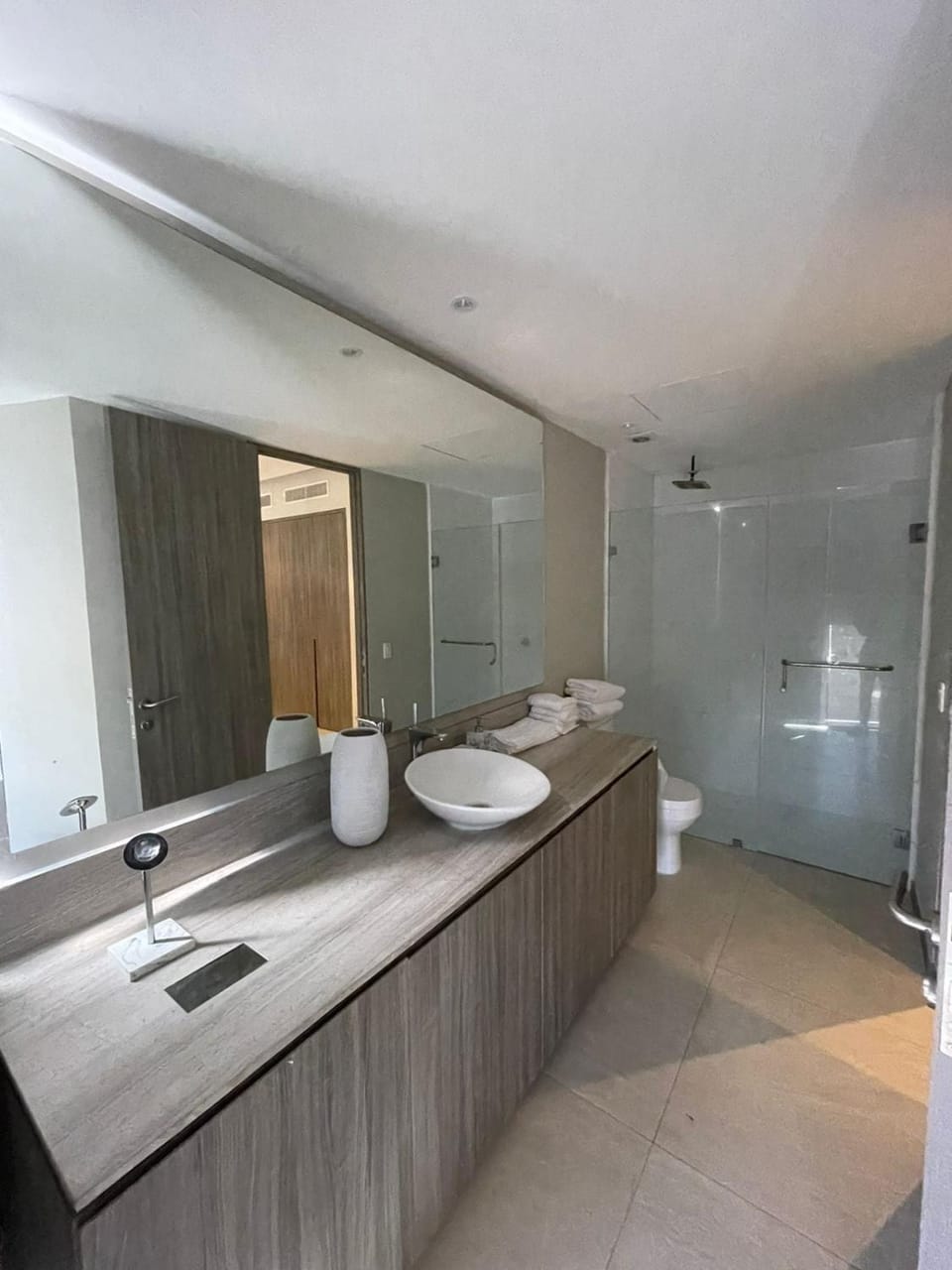 Luxury apartment in the Andres Torre Park Life area Apartment in Guadalajara