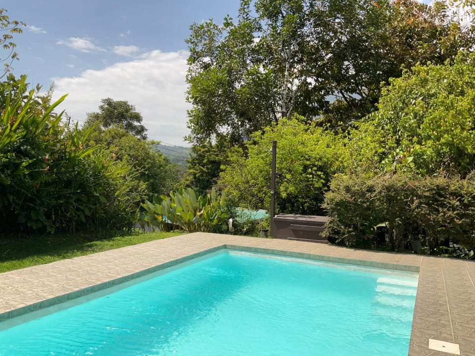 Natural landscape, Garden view, Swimming pool