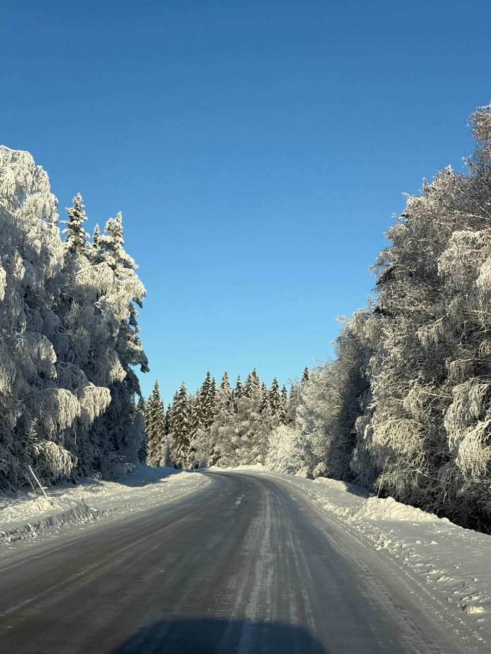 Neighbourhood, Natural landscape, Winter