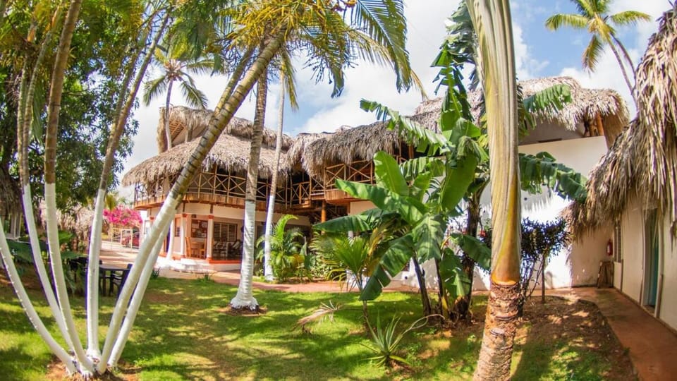 Bright studio in the heart of Las Galeras Apartment in Las Galeras