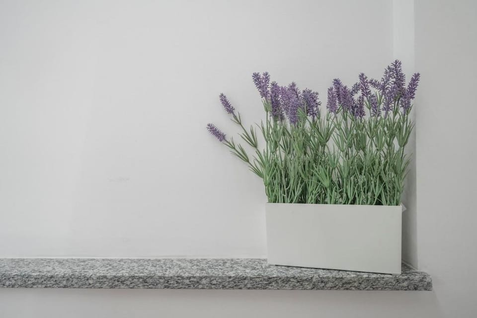 Nala House Apartment in Turin