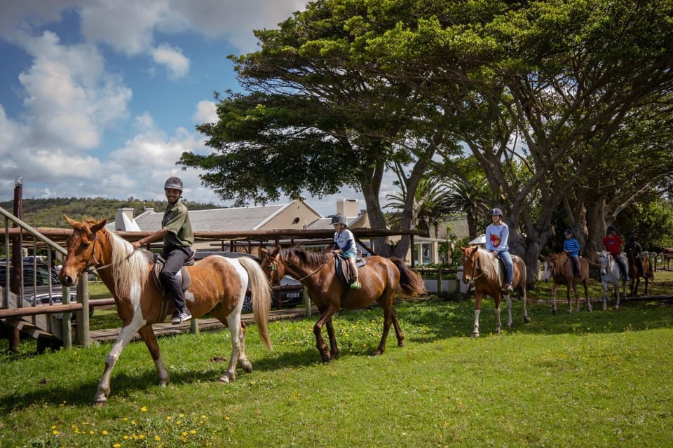 Horse-riding