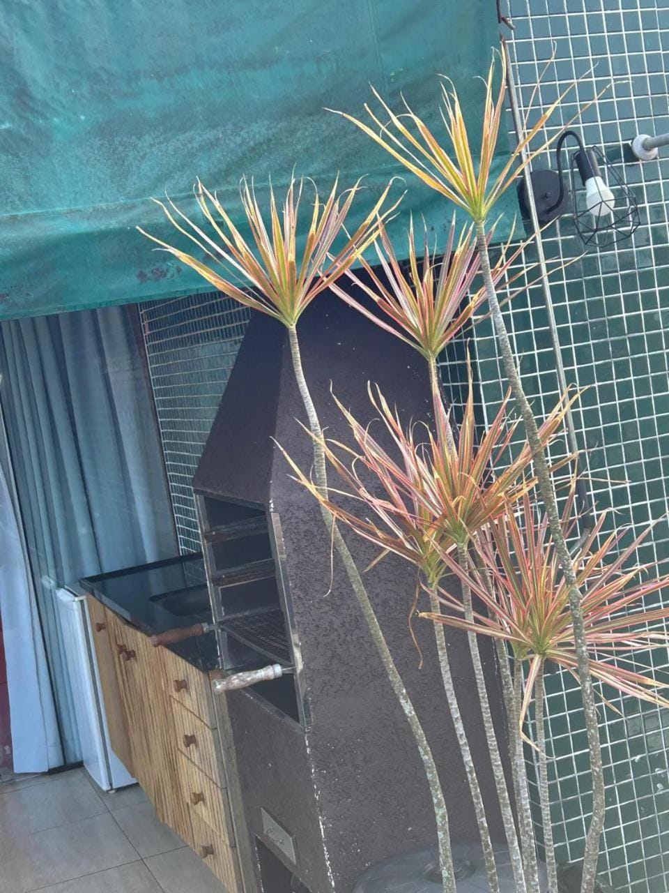 BBQ facilities