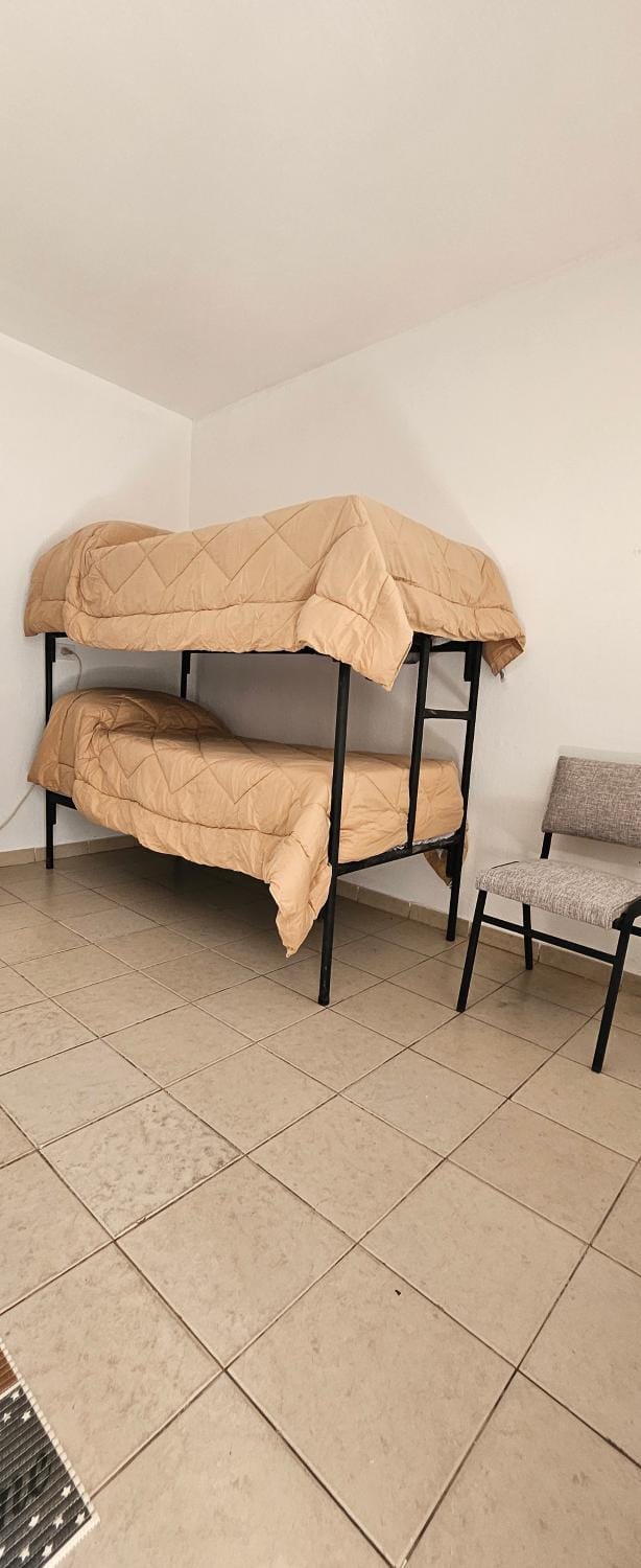 bunk bed