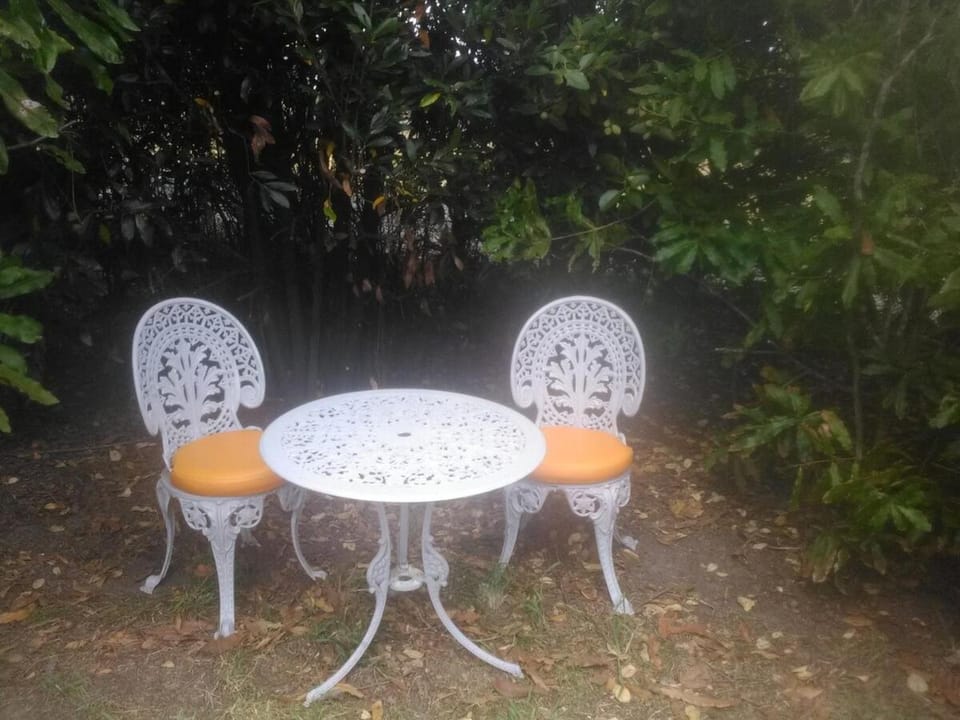 Round About House in Northland