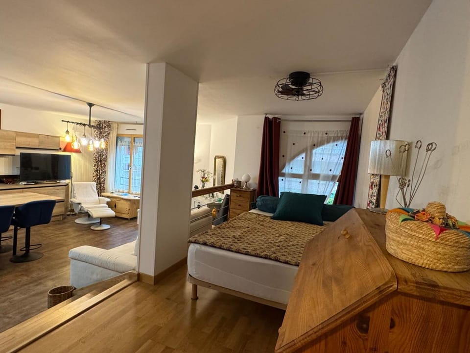 Grand T1 bis moderne en ville avec vélo électrique - Animaux acceptés - FR-1-555-124 Apartment in Aix-les-Bains