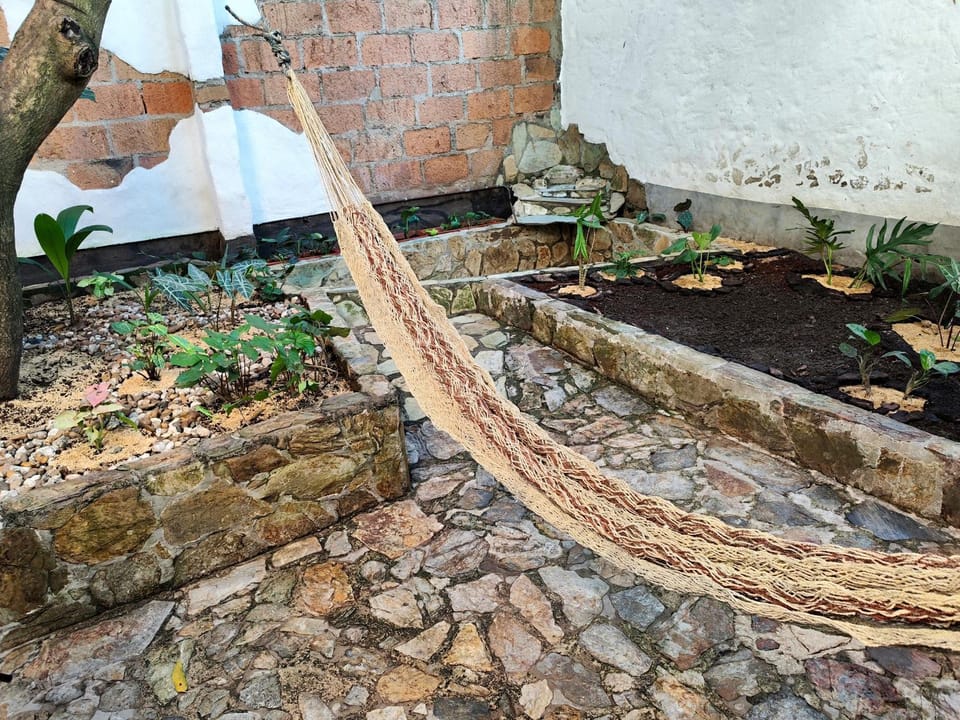Spring, Garden, Garden view
