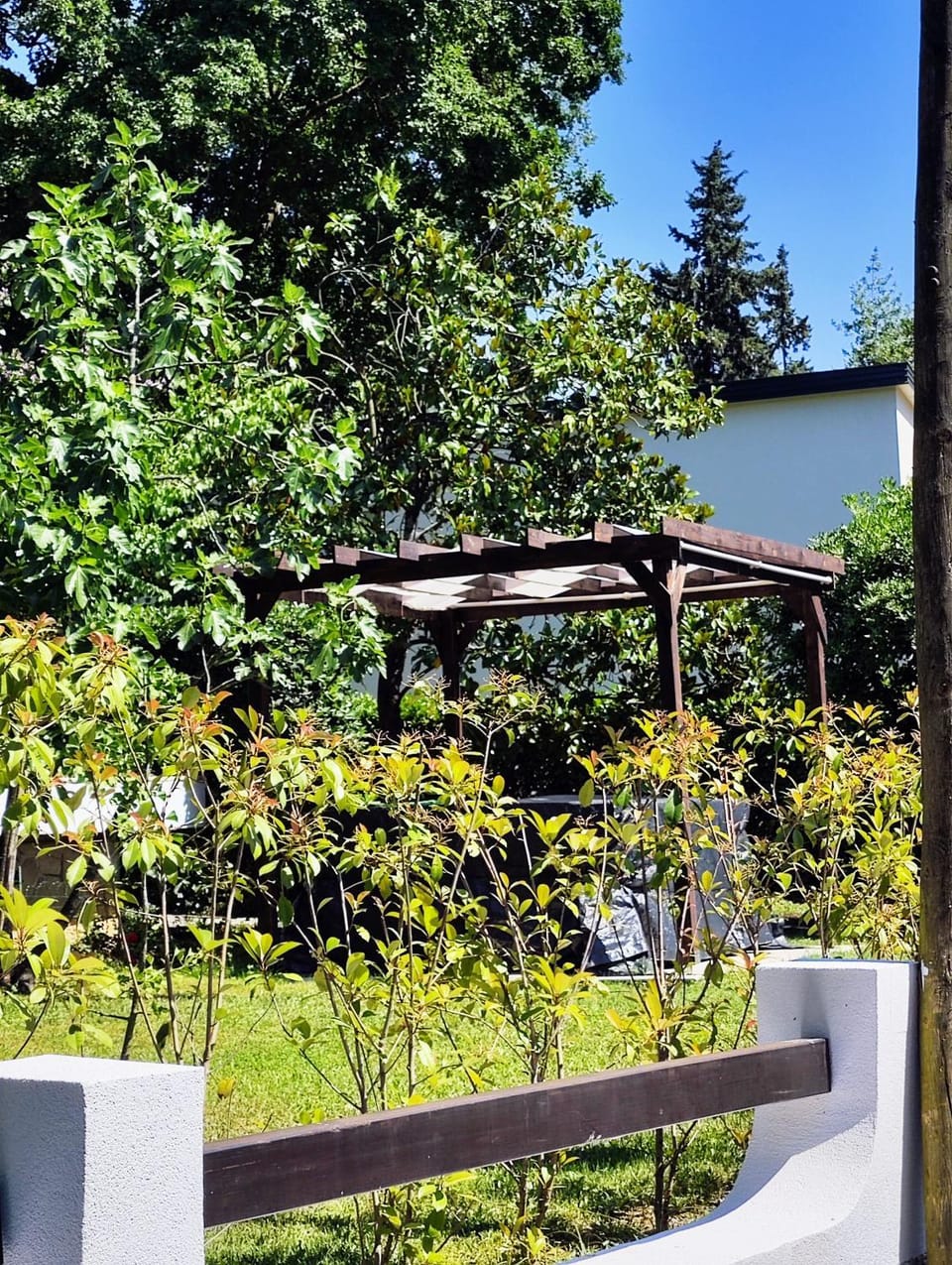 Natural landscape, Garden, Hot Tub, Garden view