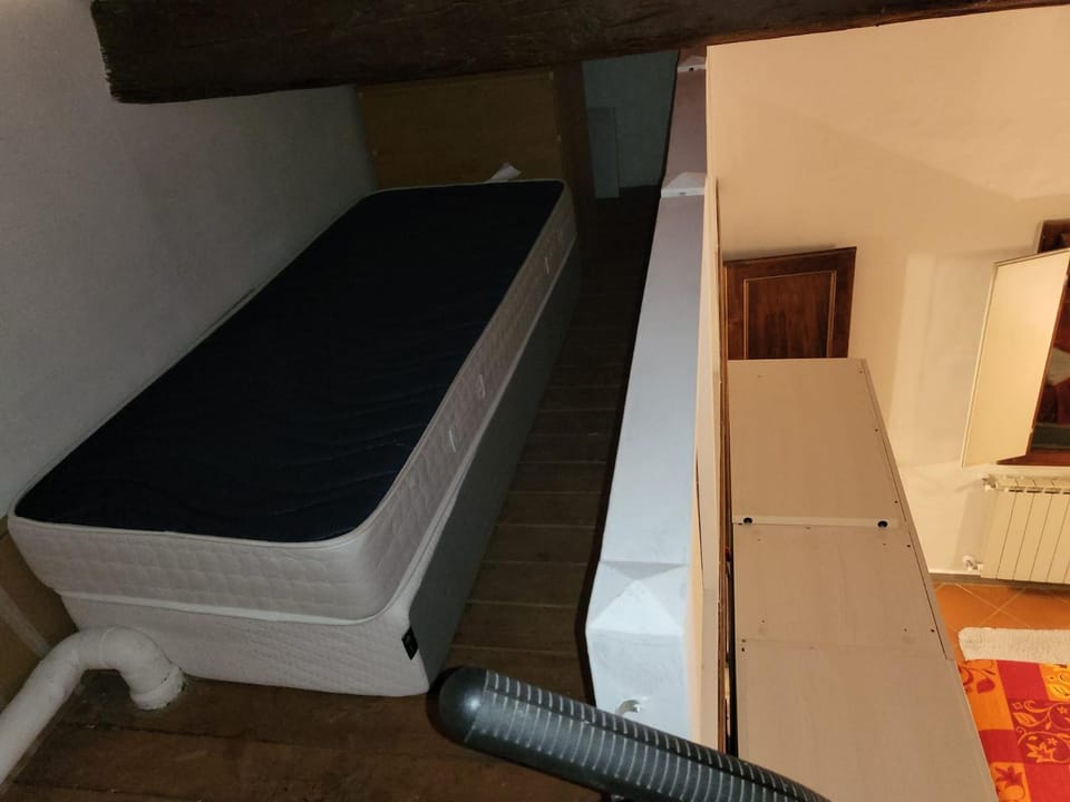 Double Room and Private Bath Central Florence Apartment in Florence