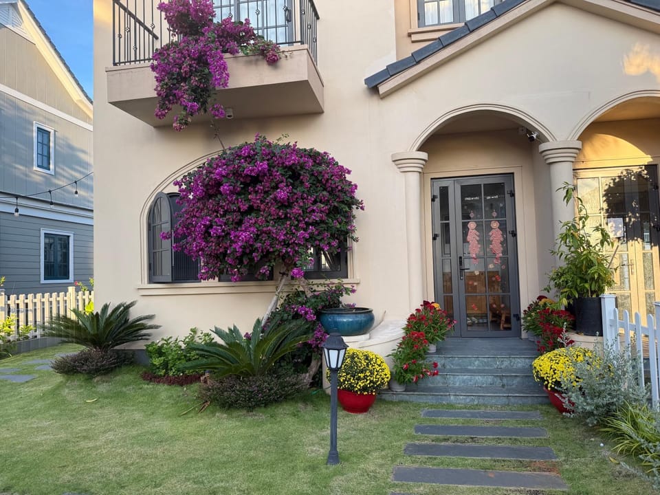 Garden view