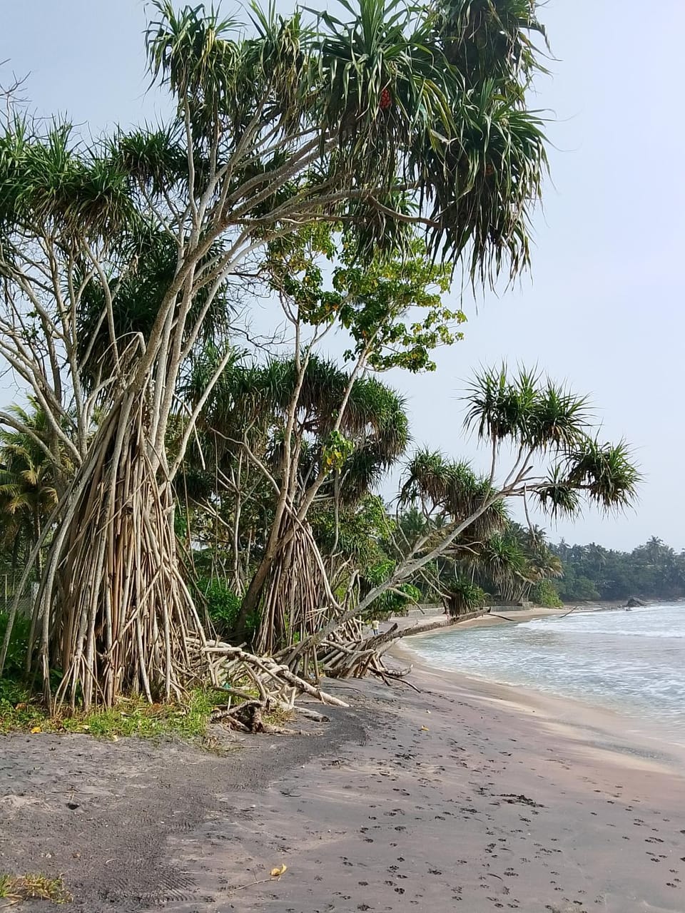 Binu Home stay Vacation rental in Southern Province