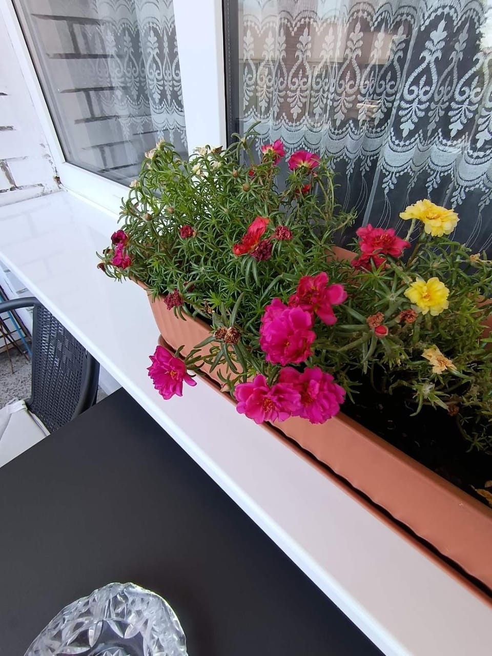 Апартамент за гости Меркурий Apartment in Veliko Tarnovo