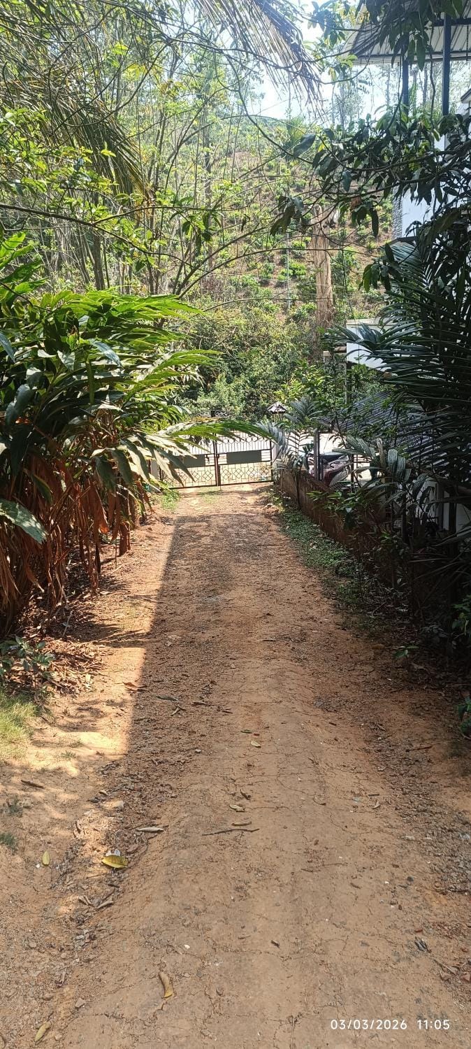 Blue Mount stay Apartment in Kerala