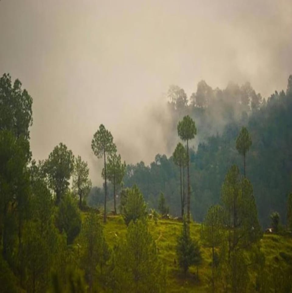 Day, Natural landscape