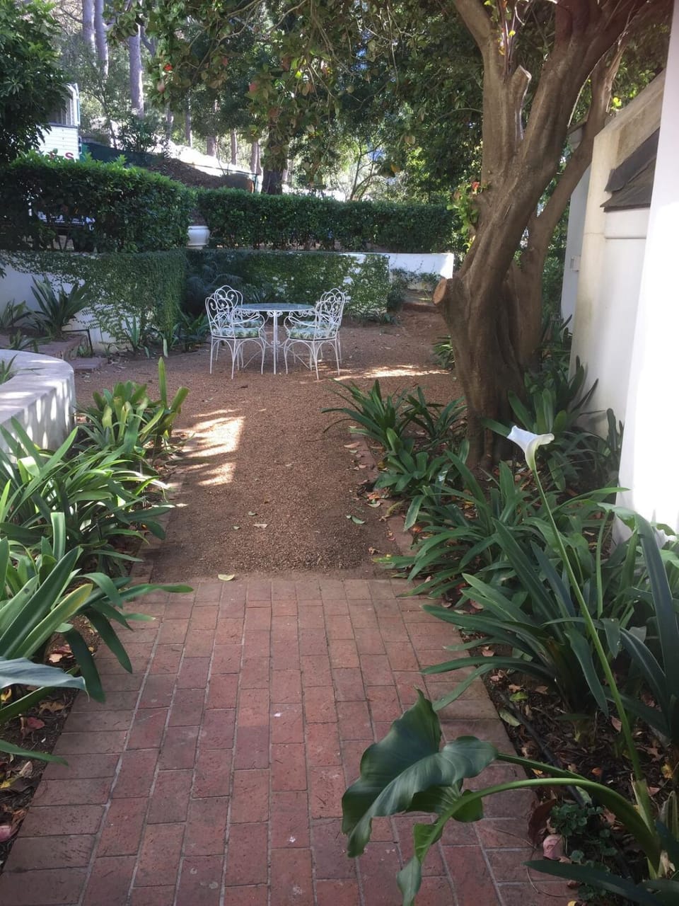 Garden view