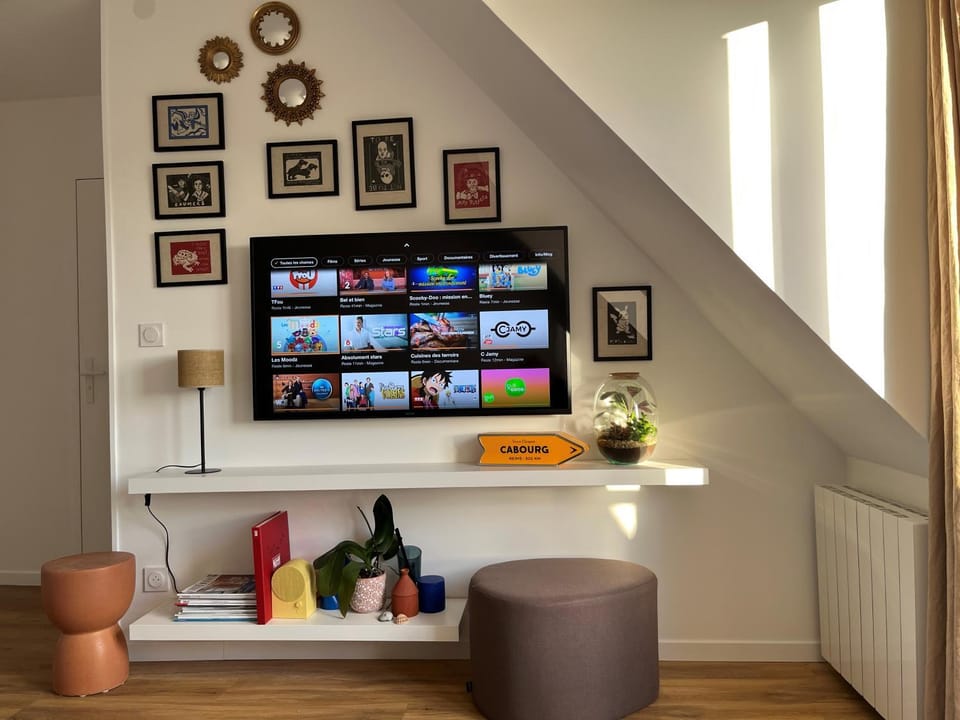 TV and multimedia