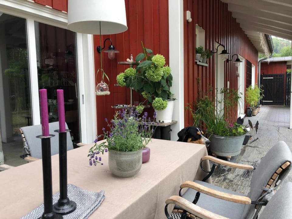 Schönes Haus mit 3 Schlafzimmern - bis zu 6 Personen Villa in Baden-Württemberg